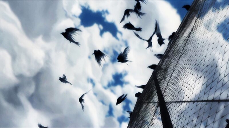 Birds flying near a fence