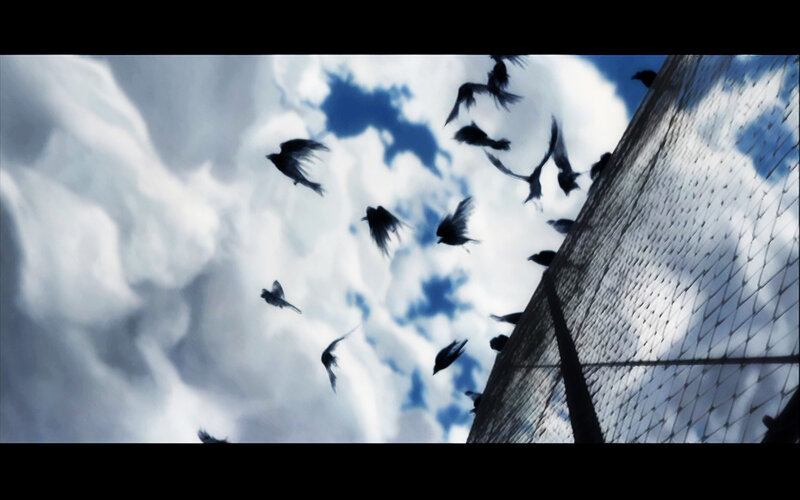 Birds Flying Near Fence