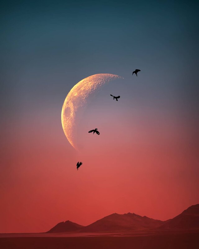 Birds Flying Near Moon