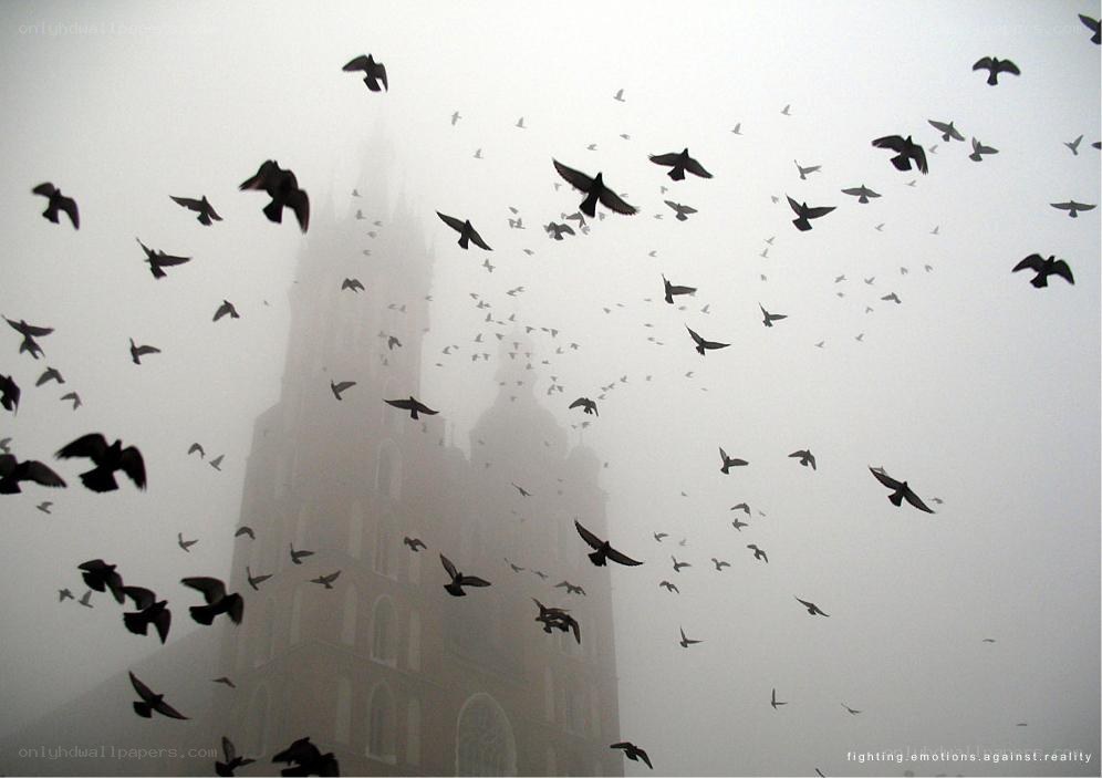 Birds flying over a cathedral