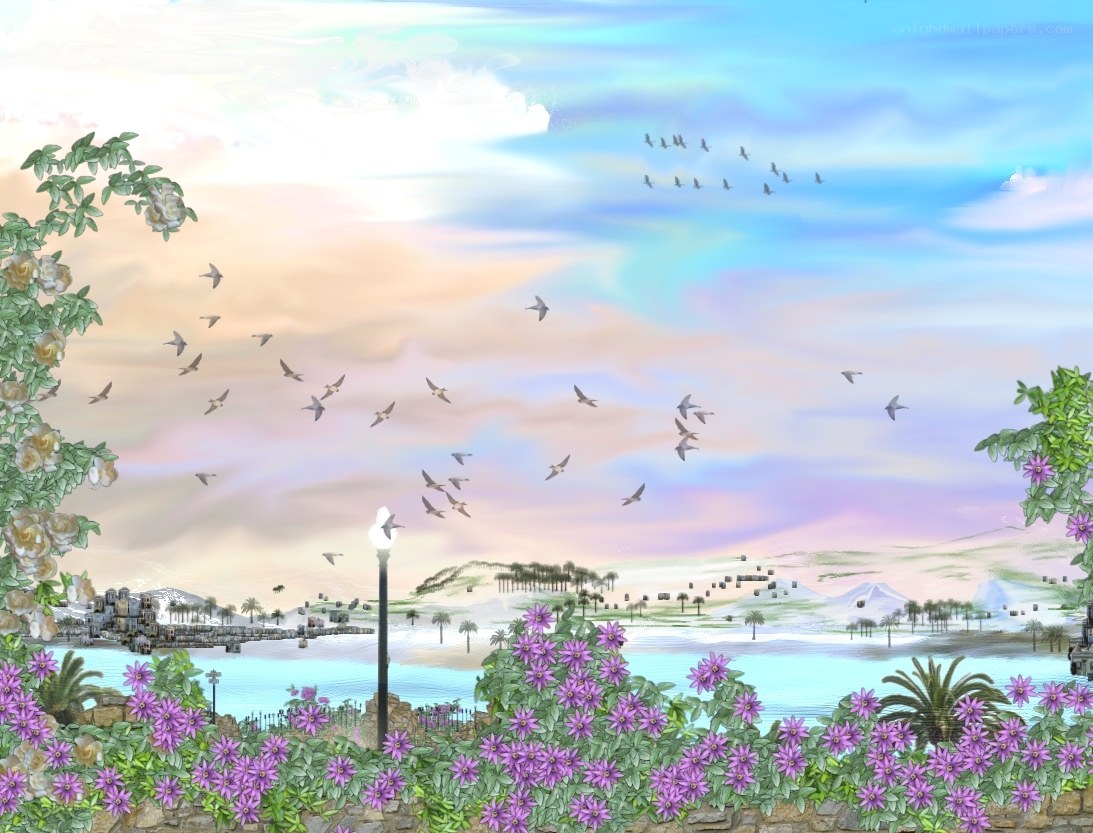 Birds flying over a coastal town