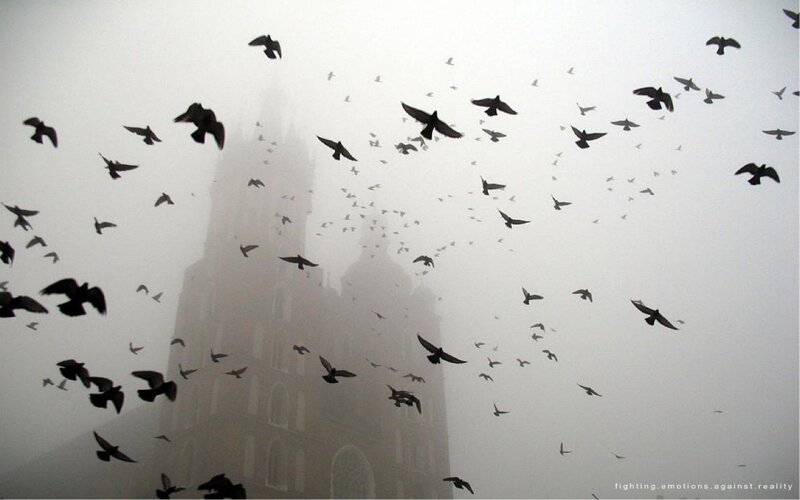 Birds flying over a foggy tower