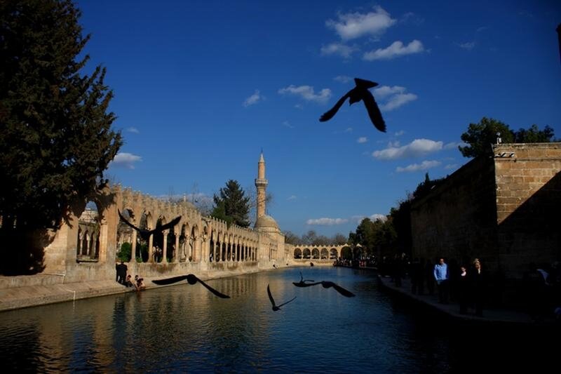 Birds flying over a historic canal
