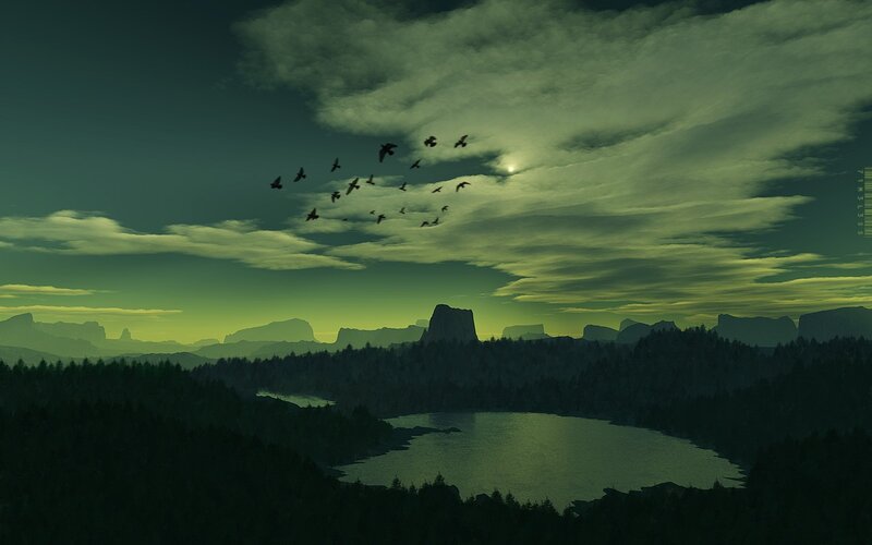 Birds flying over a lake at dusk