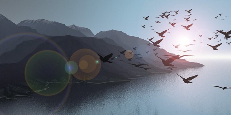 Birds flying over a lake at sunrise