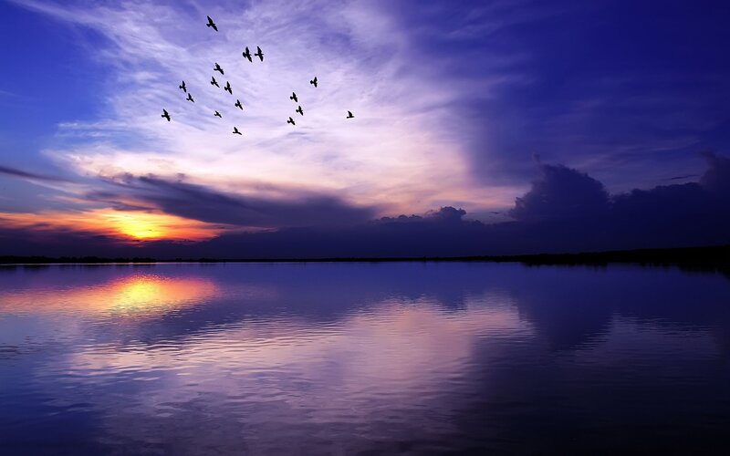 Birds flying over a lake at sunset