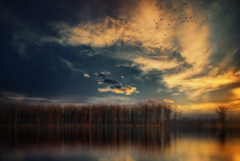 Birds flying over a lake at sunset