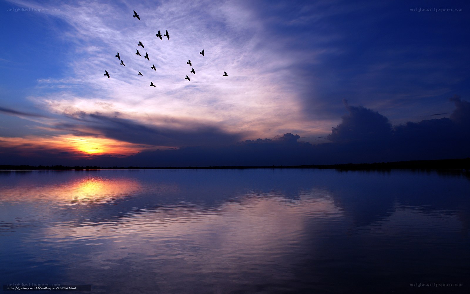 Birds flying over a lake at sunset