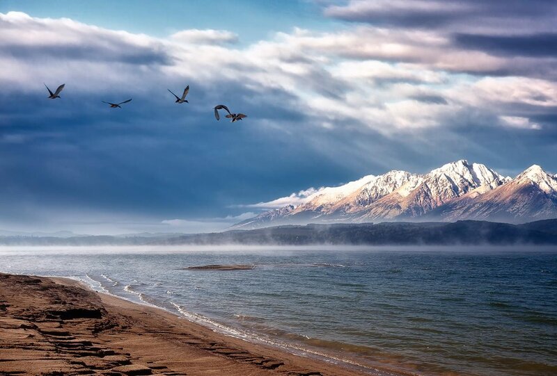 Birds flying over a lake with mountains