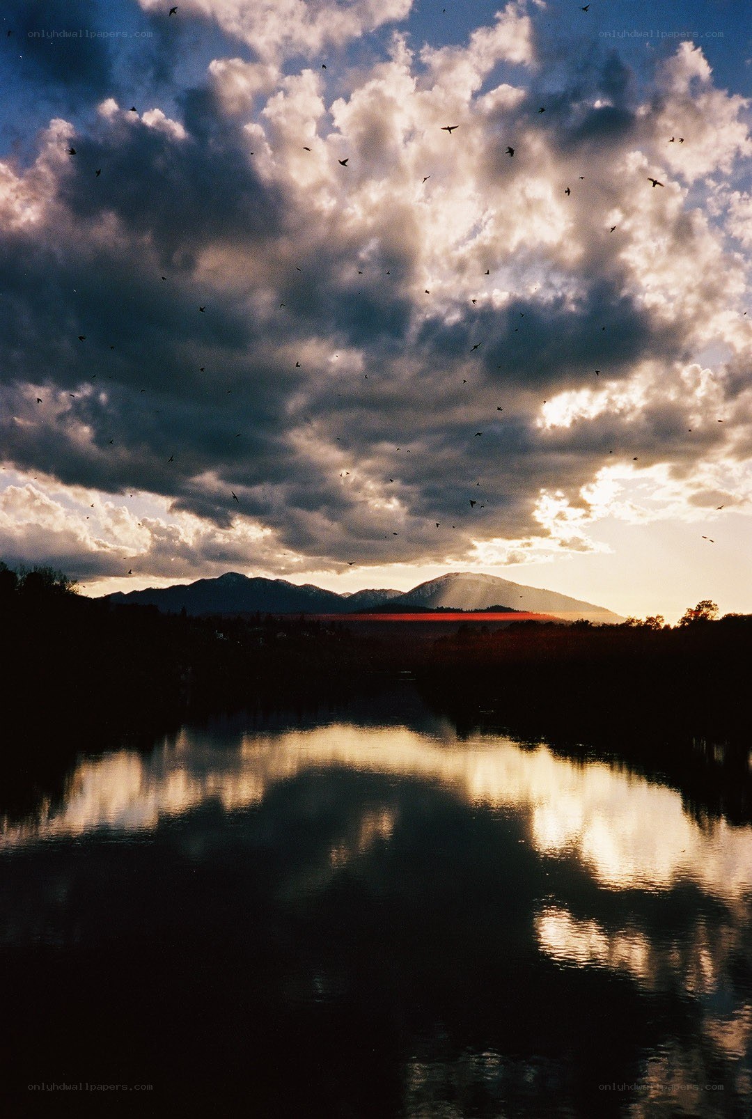 Birds flying over a river at sunset