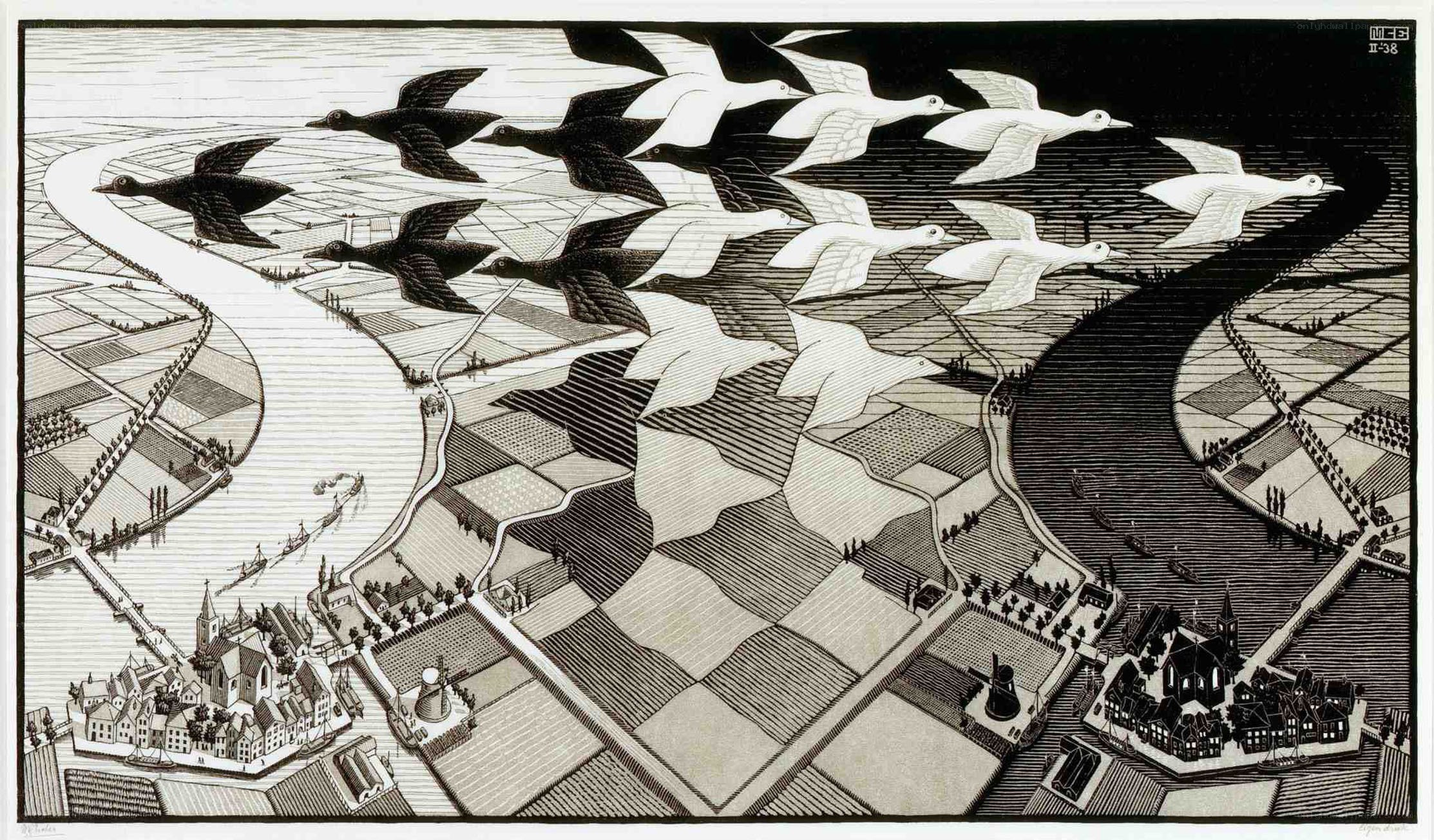 Birds Flying Over a River Landscape