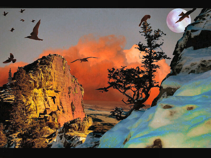 Birds Flying over Canyon