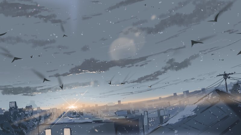 Birds Flying over City — Gray