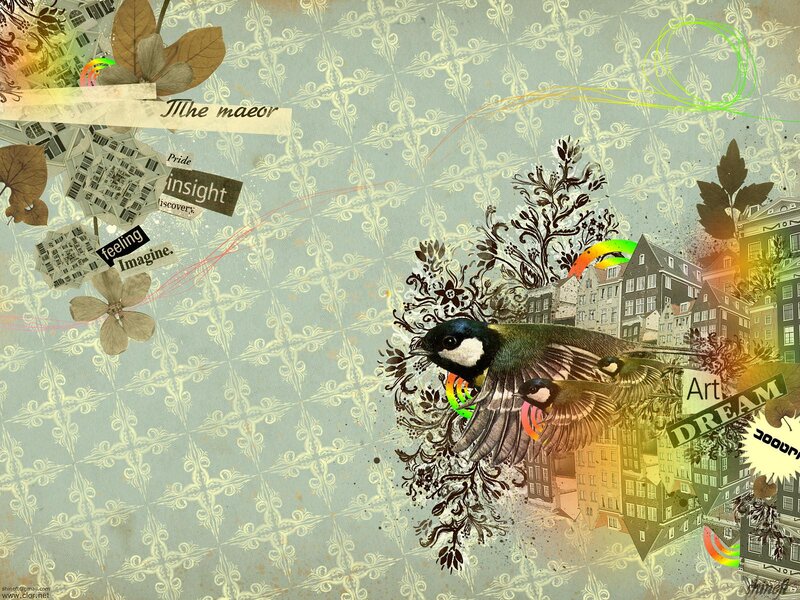 Birds Flying over City