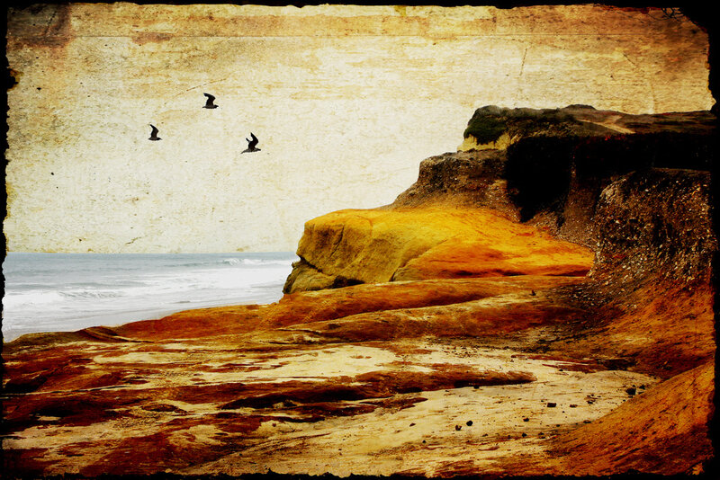 Birds Flying over Cliffs