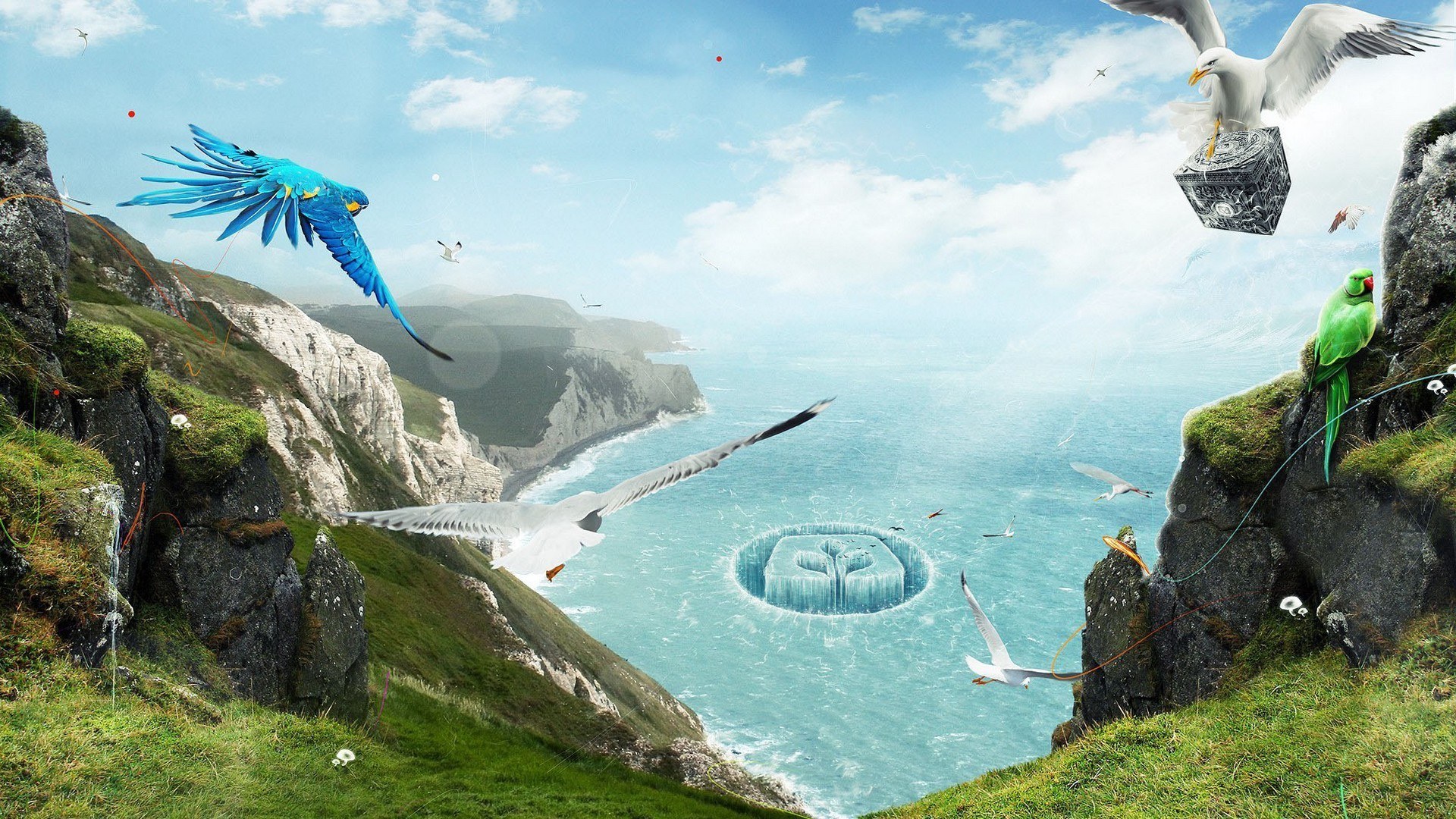Birds flying over coastal cliffs
