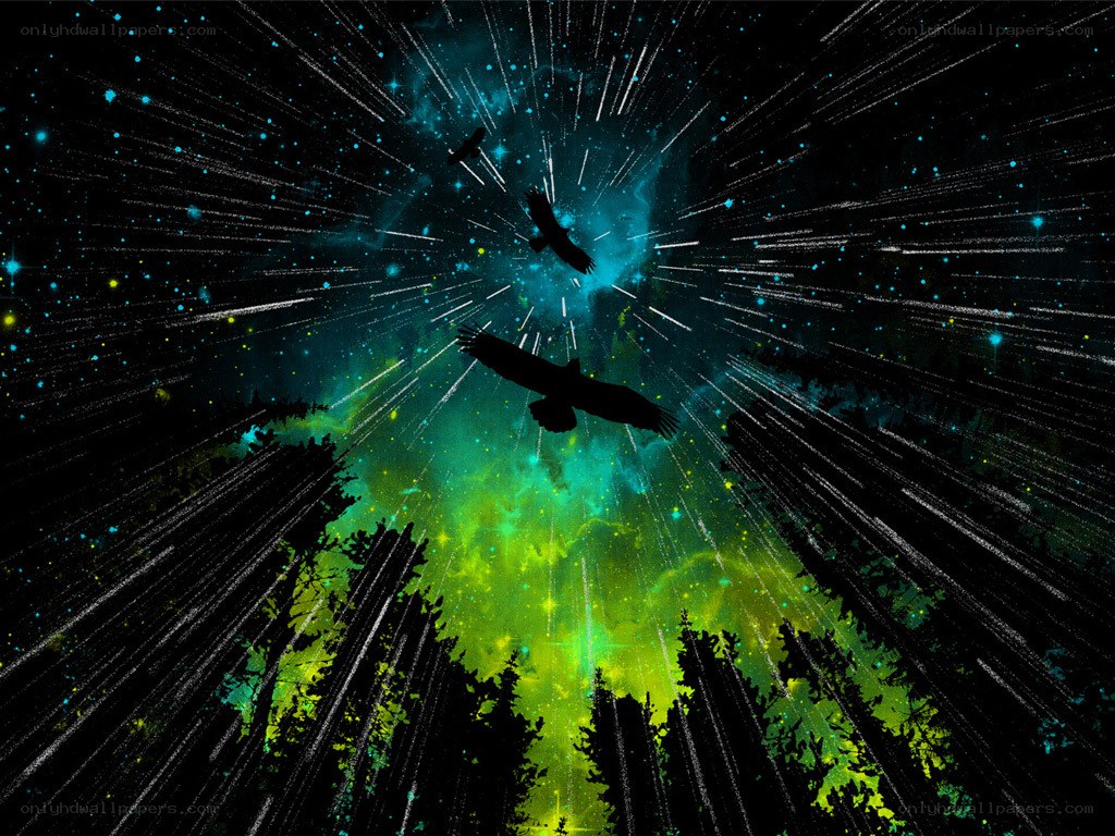 Birds flying over forest at night