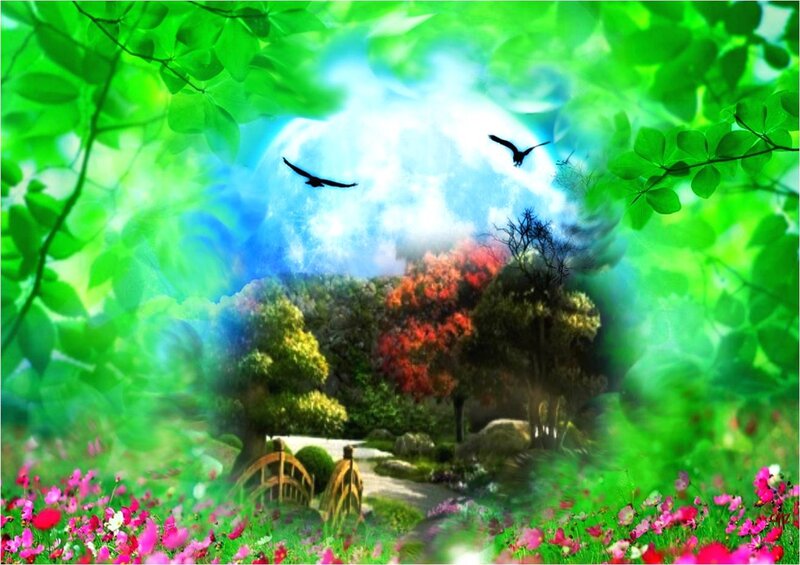 Birds Flying over Garden