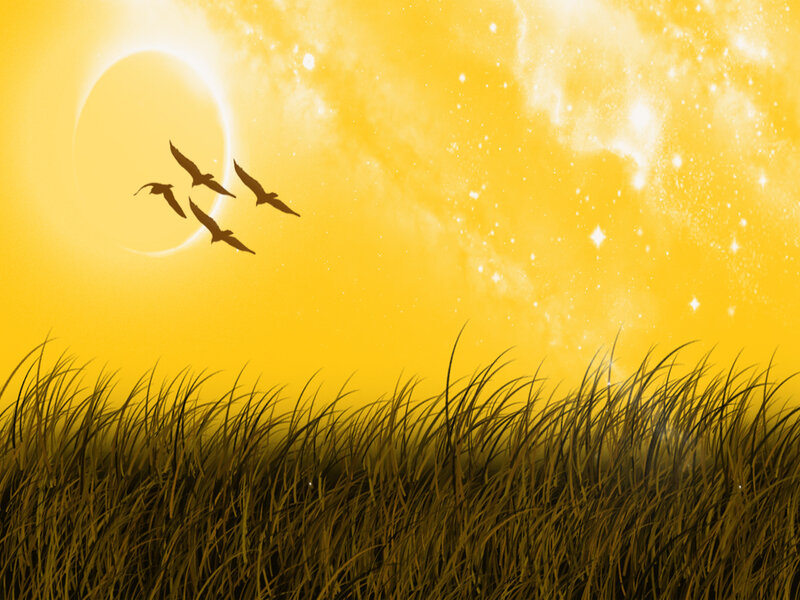 Birds Flying over Grass — Yellow
