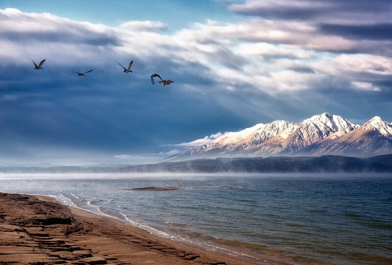 Birds Flying over Lake — Blue, Dramatic