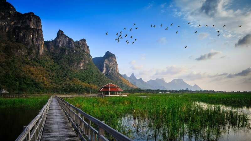 Birds Flying over Lake — Blue, Serene, Morning, Photograph