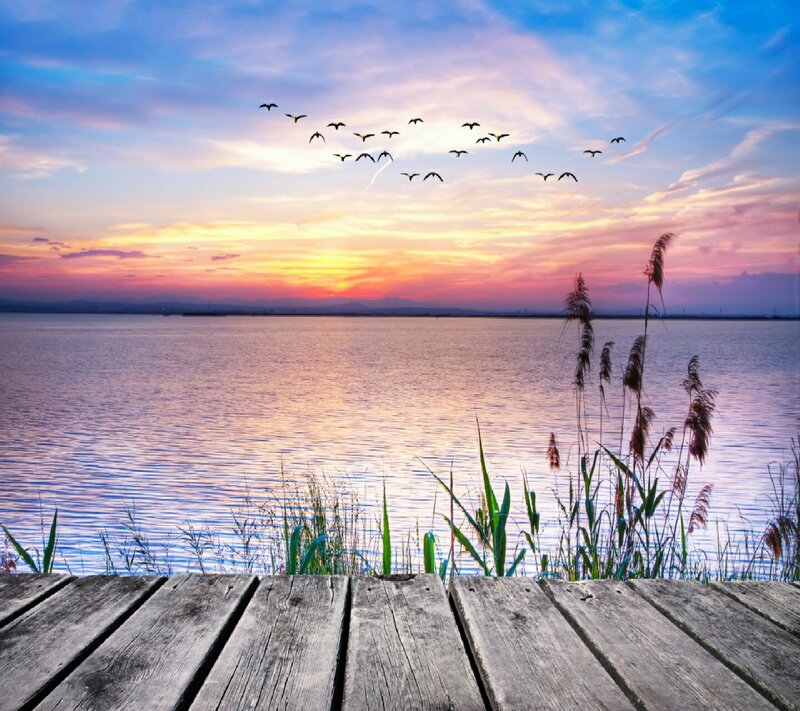 Birds Flying over Lake — Blue, Serene, Sunset, Photograph, Reeds