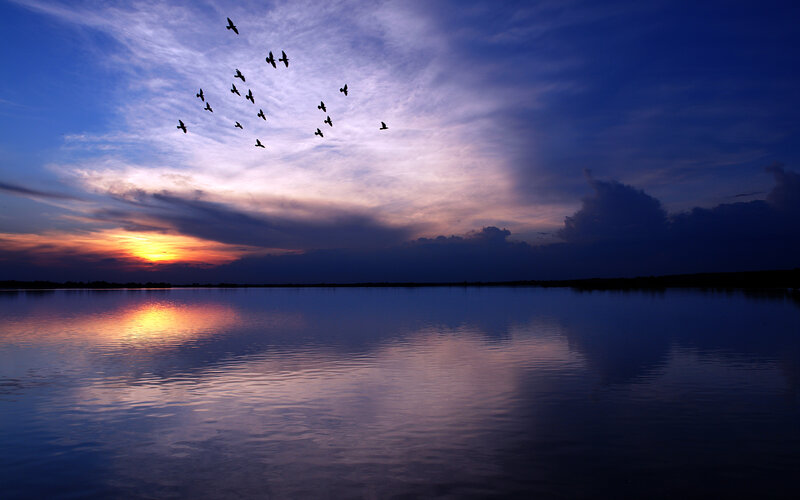 Birds Flying over Lake — Blue, Serene, Sunset