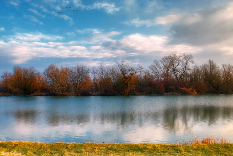 Birds Flying over Lake — Blue