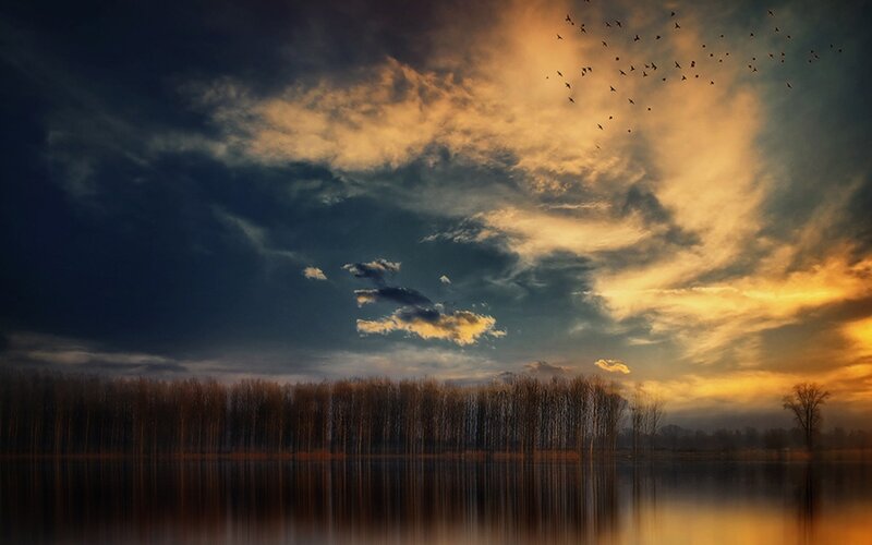 Birds Flying over Lake — Orange, Dramatic, Sunset, Photograph, Clouds