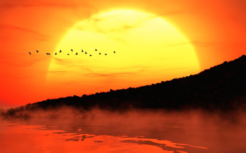 Birds Flying over Lake — Orange, Dramatic