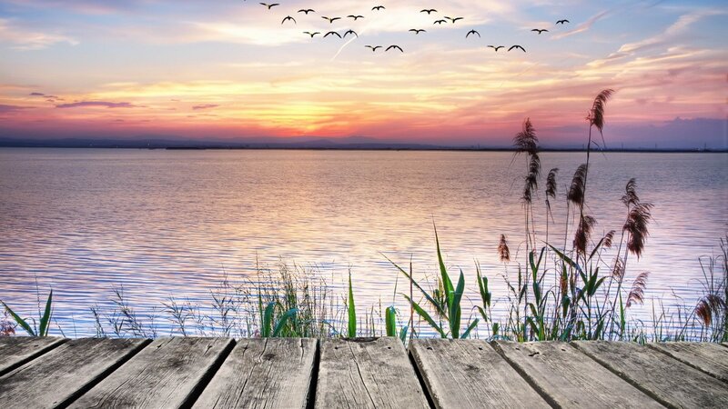 Birds Flying over Lake — Orange, Serene, Sunset, Photograph, Reeds