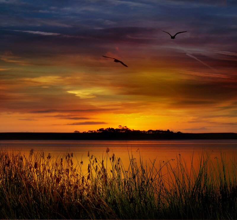 Birds Flying over Lake — Orange, Serene, Sunset