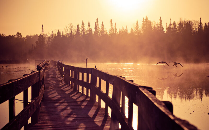 Birds Flying over Lake — Orange, Serene