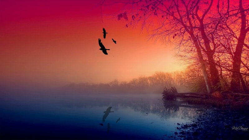 Birds Flying over Lake — Red