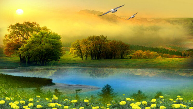 Birds Flying over Lake — Yellow, Serene