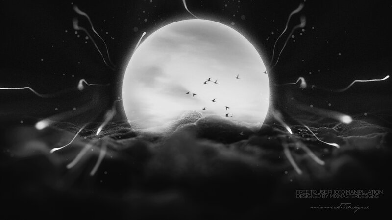 Birds Flying over Moon — Black