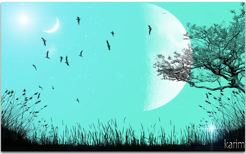 Birds Flying over Moon
