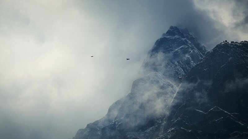 Birds Flying over Mountain — Gray