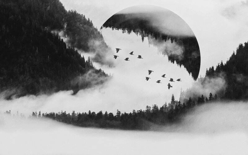 Birds Flying over Mountains — Black, Serene