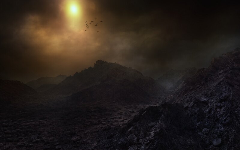 Birds Flying over Mountains — Black