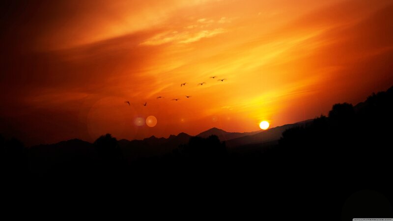 Birds Flying over Mountains — Orange