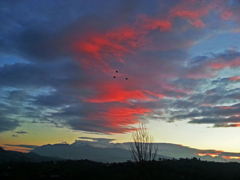 Birds Flying over Mountains — Red