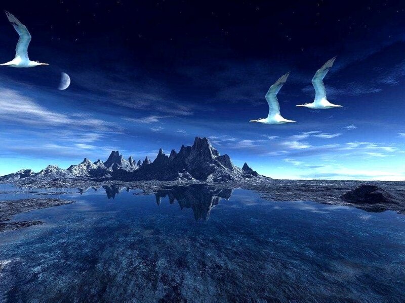 Birds Flying over Mountains