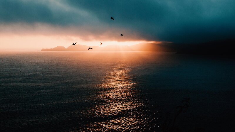 Birds Flying over Ocean — Blue, Dramatic, Sunset