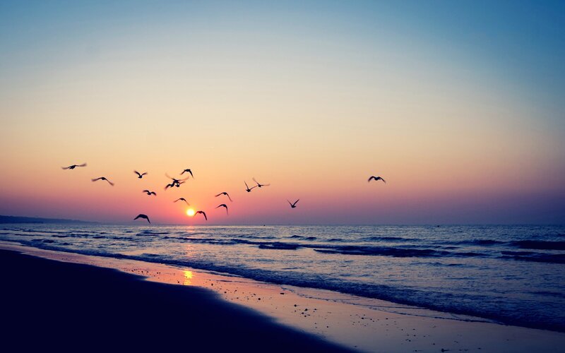 Birds Flying over Ocean — Blue, Serene, Sunset
