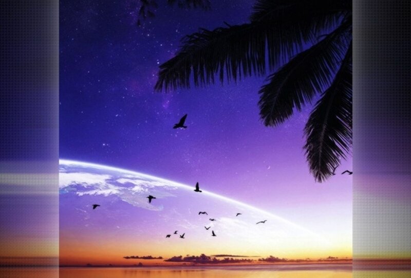 Birds Flying over Ocean — Purple