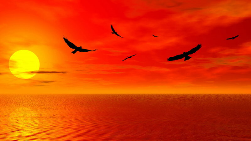 Birds Flying over Ocean — Red, Dramatic