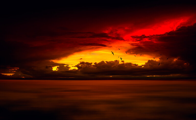 Birds Flying over Ocean — Red