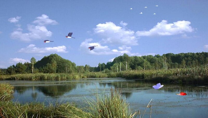 Birds Flying over Pond — Blue