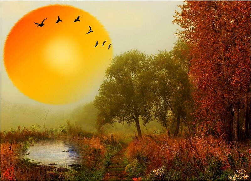 Birds Flying over Pond — Orange